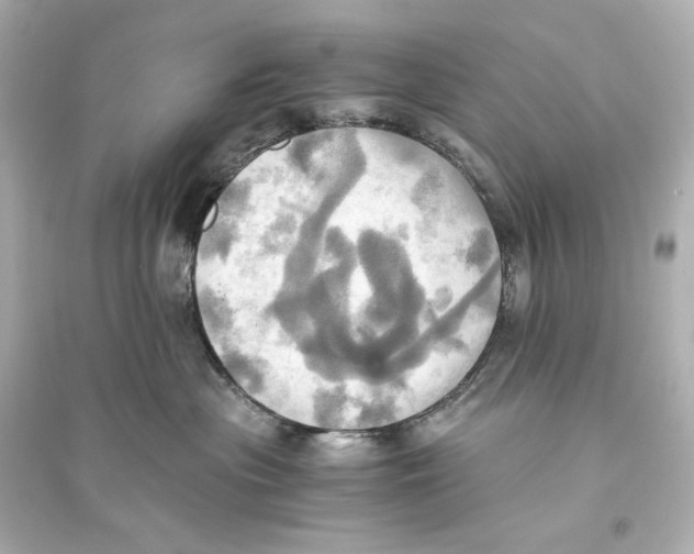 X0000093610477200711121216