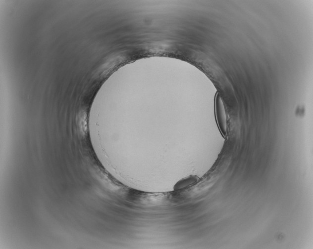 X0000093610479200711121216