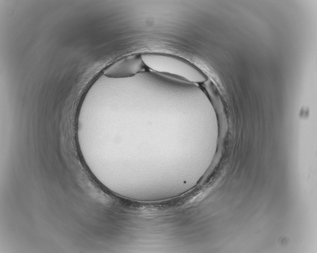 X0000093610481200711121216
