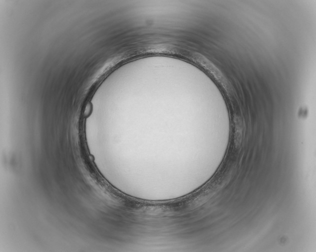 X0000093610482200711121216