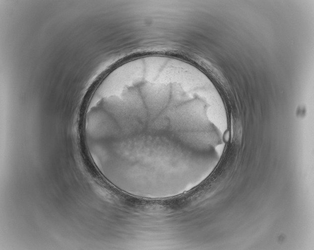X0000093610483200711121216
