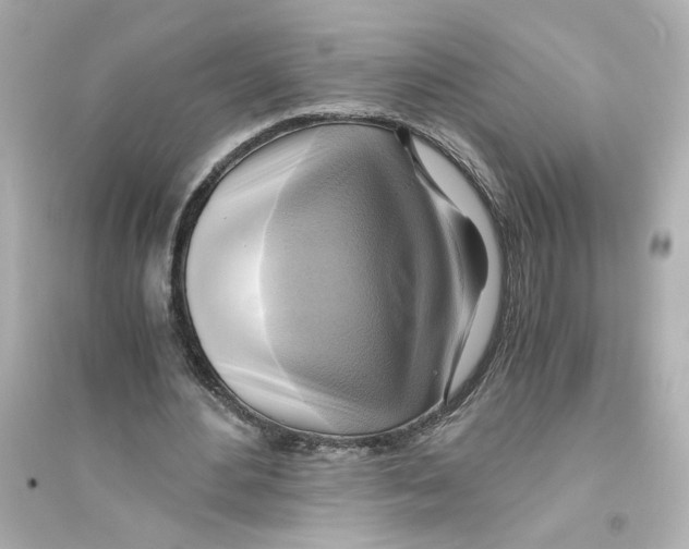 X0000093610484200711121216