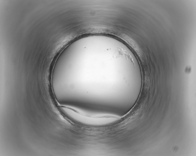 X0000093610485200711121216