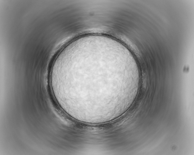 X0000093610486200711121216