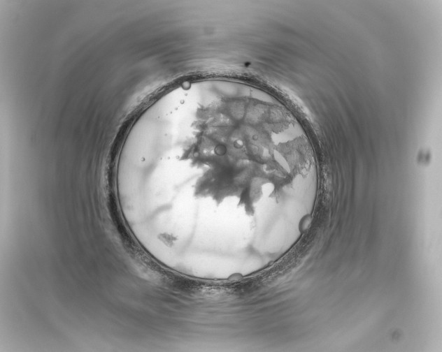 X0000093610487200711121216