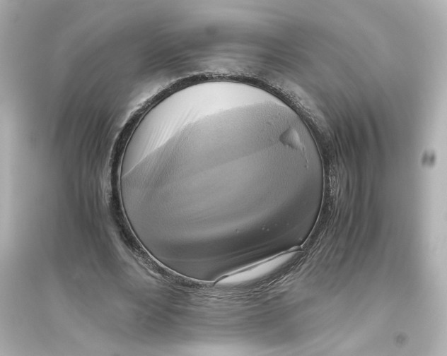 X0000093610488200711121216
