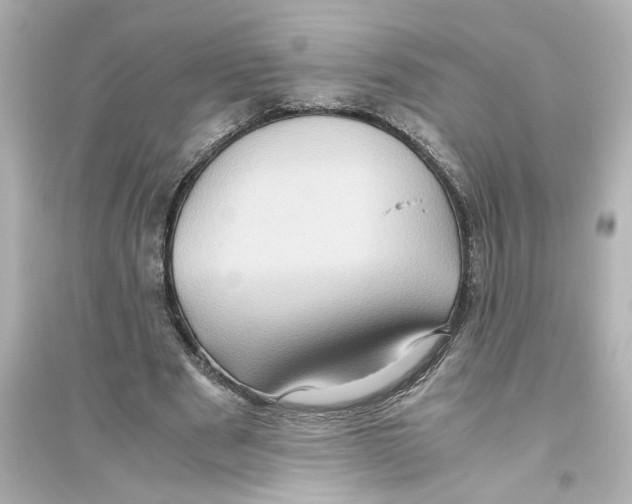 X0000093610489200711121216