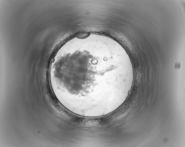 X0000093610491200711121216