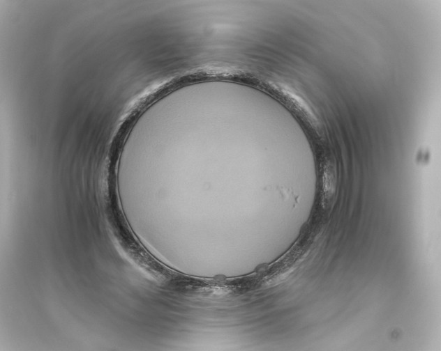 X0000093610492200711121216