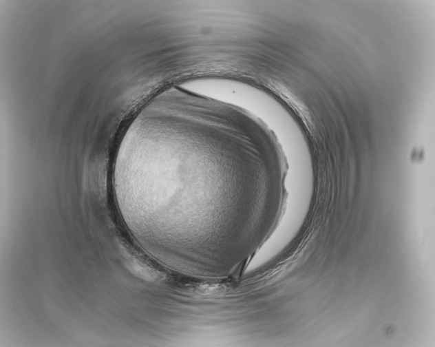 X0000093610493200711121216