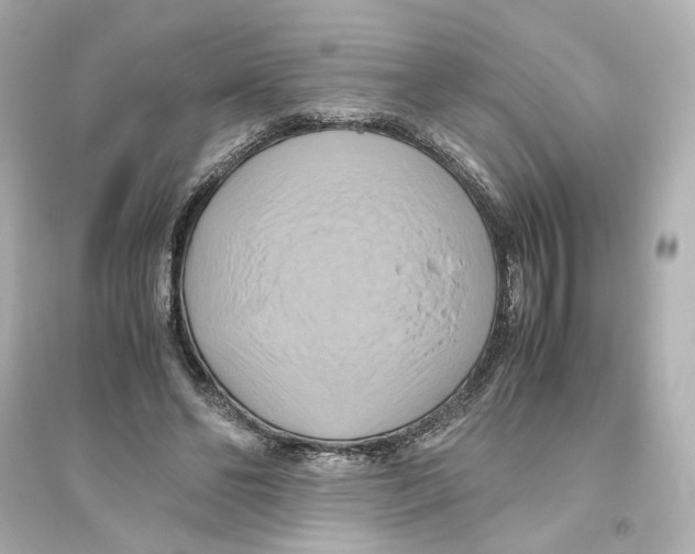 X0000093610494200711121216