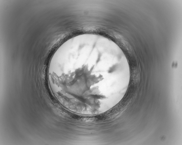 X0000093610495200711121215