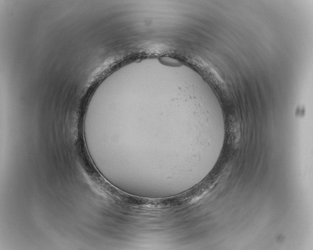 X0000093610496200711121215