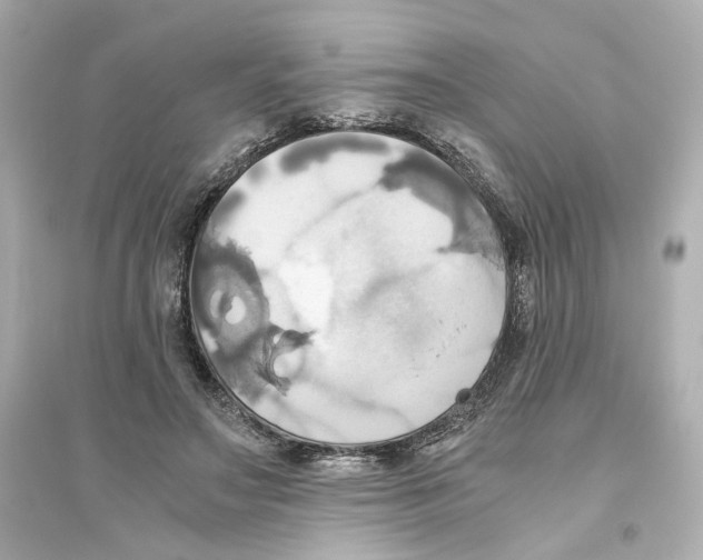 X0000093610499200711121215