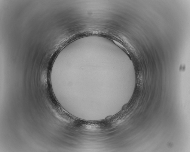 X0000093610500200711121215