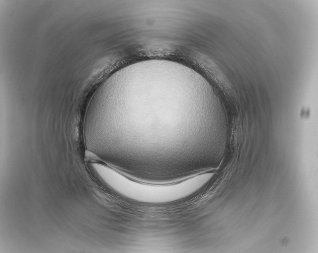 X0000093610501200711121215