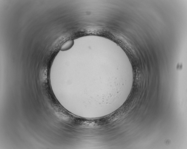 X0000093610502200711121215