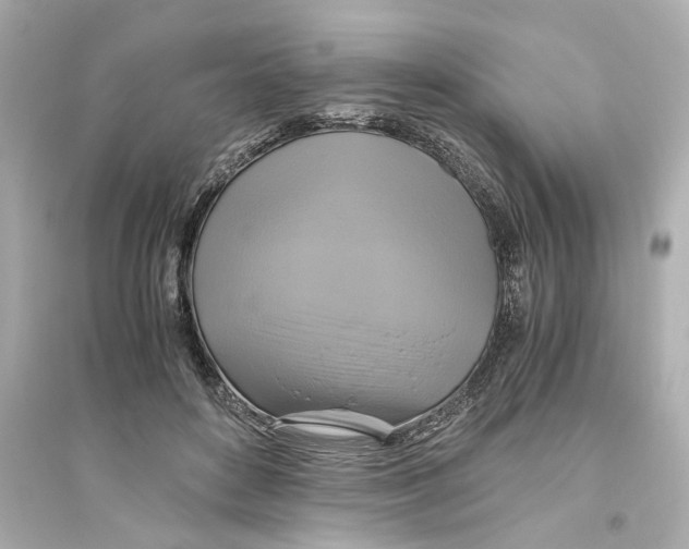 X0000093610504200711121215
