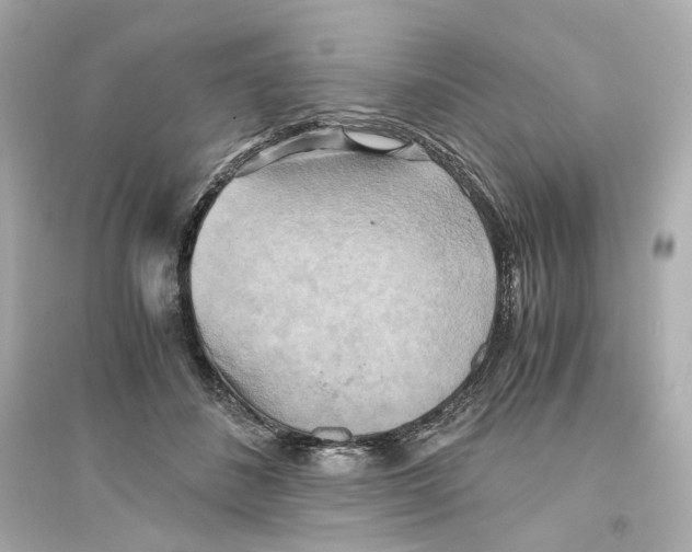 X0000093610508200711121215