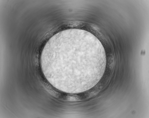 X0000093610510200711121215