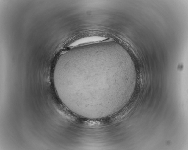 X0000093610512200711121215