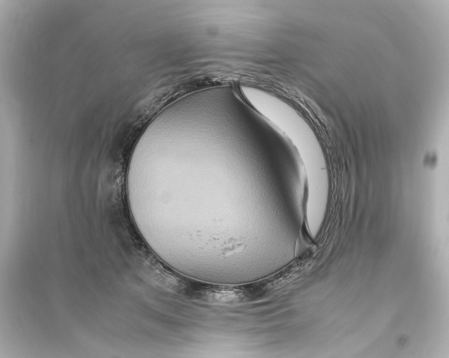 X0000093610513200711121215