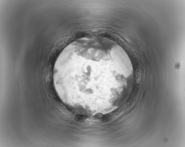 X0000093610515200711121215