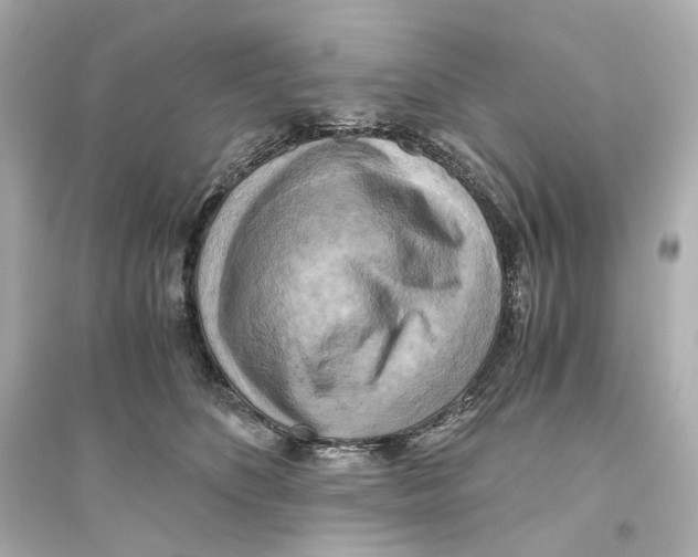 X0000093610516200711121215