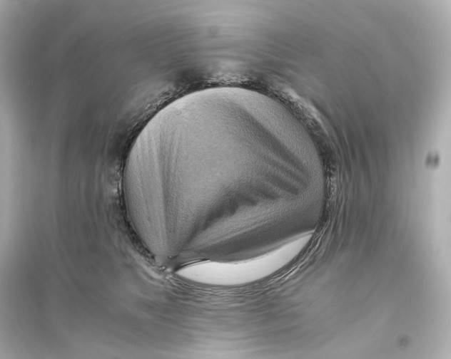 X0000093610517200711121215
