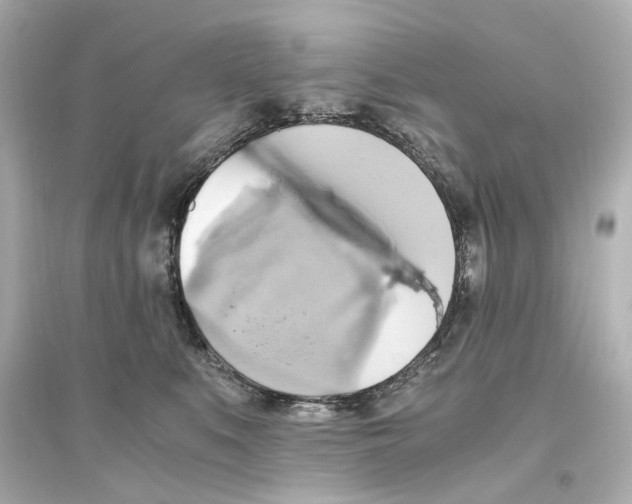 X0000093610519200711121215