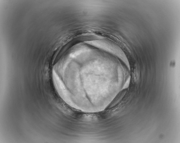 X0000093610520200711121215