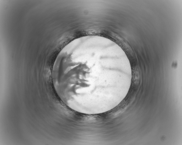 X0000093610523200711121215