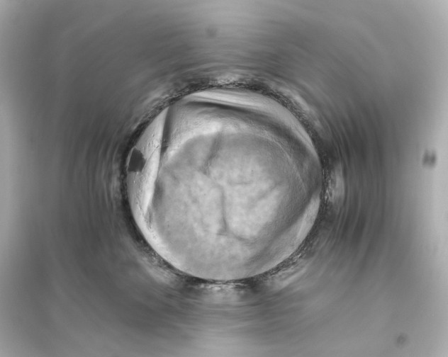 X0000093610524200711121215