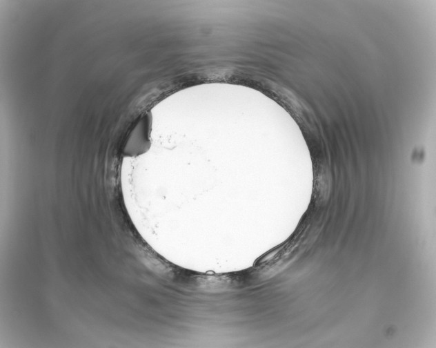 X0000093610525200711121215