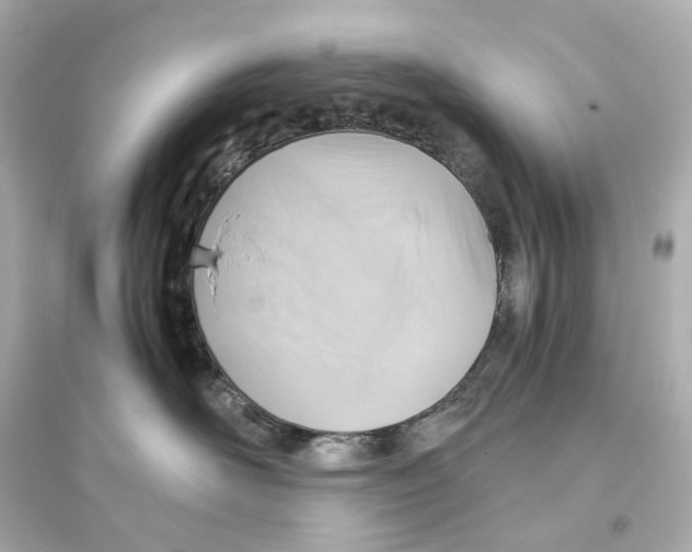 X0000093610526200711121215