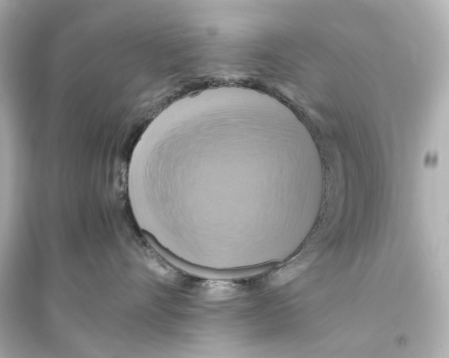X0000093610528200711121215