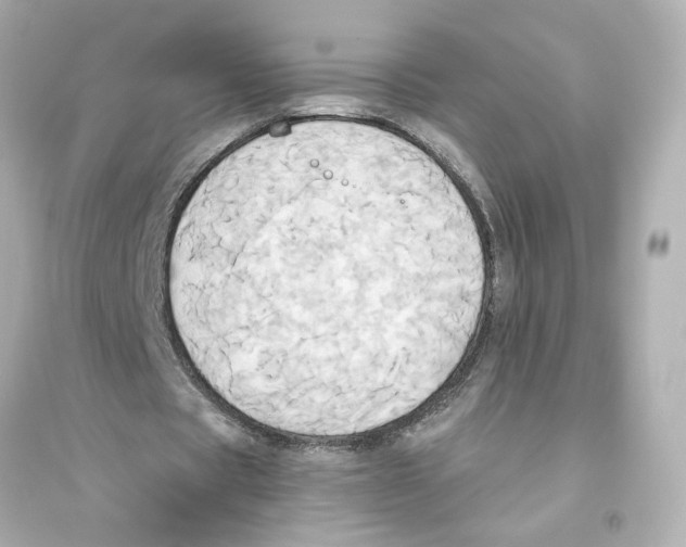 X0000093610529200711121214