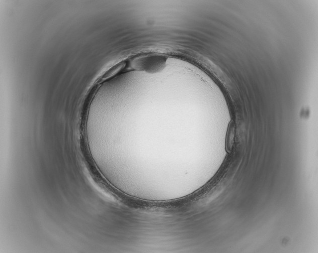 X0000093610530200711121214