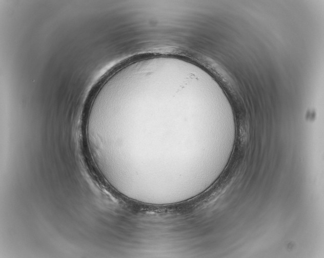 X0000093610532200711121214
