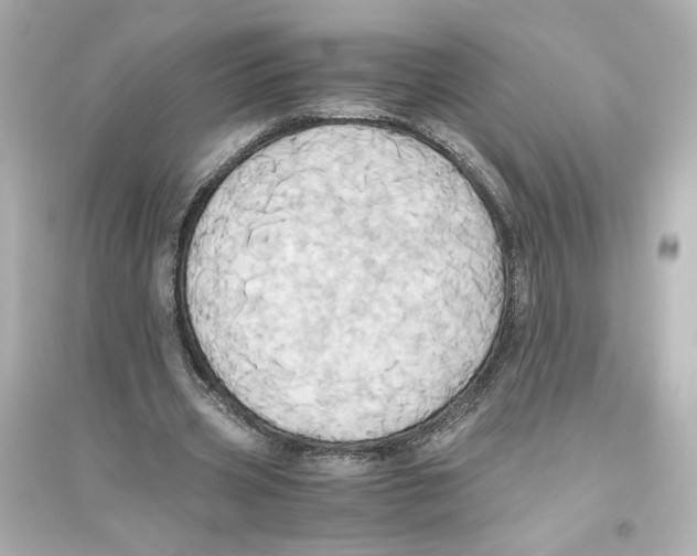 X0000093610533200711121214