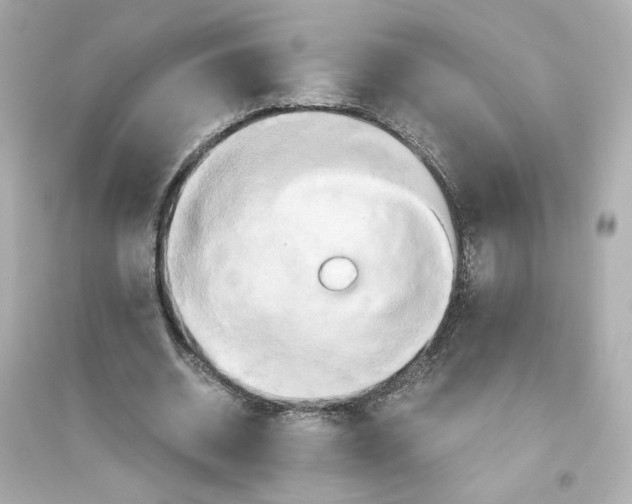 X0000093610534200711121214