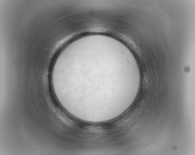 X0000093610535200711121214