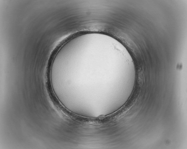X0000093610536200711121214
