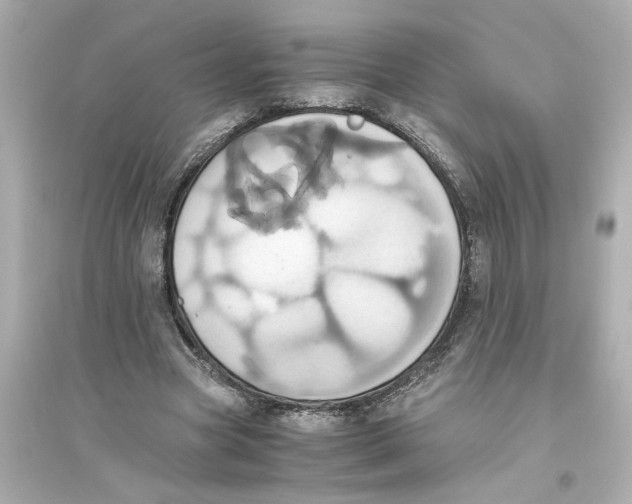 X0000093610537200711121214
