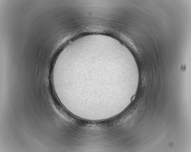 X0000093610538200711121214