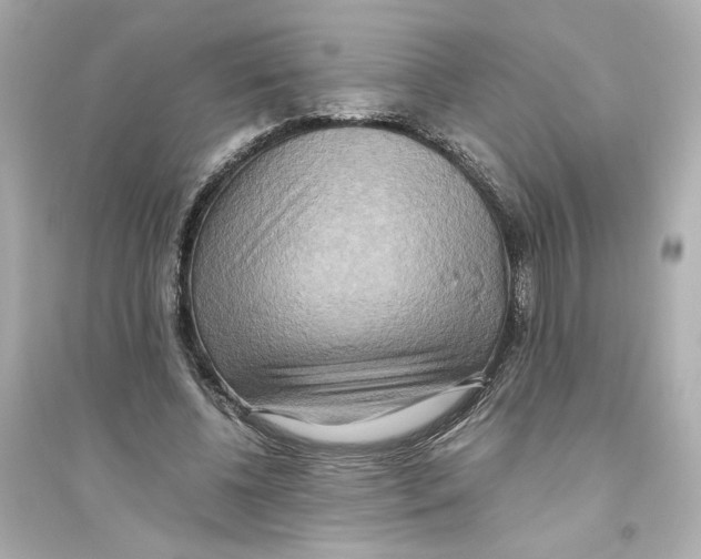 X0000093610540200711121214