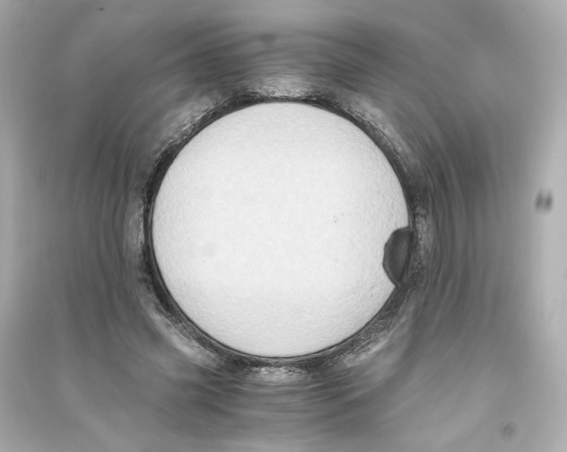 X0000093610541200711121214