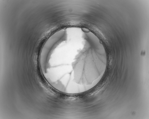 X0000093610542200711121214