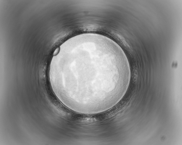 X0000093610543200711121214