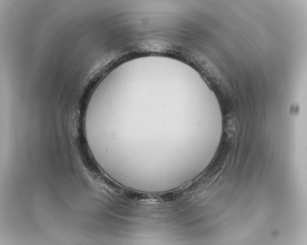 X0000093610544200711121214